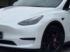 Tesla Model Y Rear-Wheel Drive - ფოტო 2