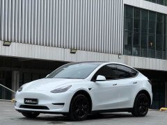 Tesla Model Y Rear-Wheel Drive - ფოტო 3
