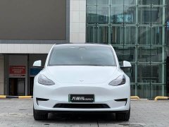Tesla Model Y Rear-Wheel Drive - ფოტო 4