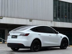 Tesla Model Y Rear-Wheel Drive - ფოტო 6