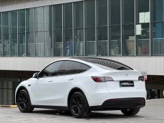Tesla Model Y Rear-Wheel Drive - ფოტო 8