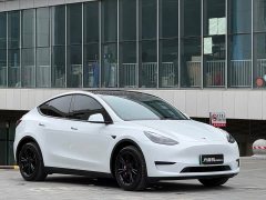 Tesla Model Y Rear-Wheel Drive - ფოტო 9