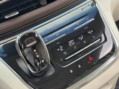 Buick GL8 Land Business Class 652T Luxury - ფოტო 11