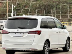 Buick GL8 Land Business Class 652T Luxury - ფოტო 12