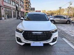 Haval H6 1.5T National Trend Urban Edition - ფოტო 2
