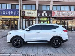 Haval H6 1.5T National Trend Urban Edition - ფოტო 7