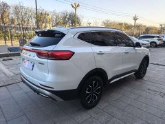Haval H6 1.5T National Trend Urban Edition - ფოტო 9