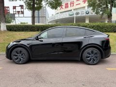Tesla Model Y Rear-Wheel Drive - ფოტო 3
