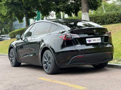 Tesla Model Y Rear-Wheel Drive - ფოტო 4