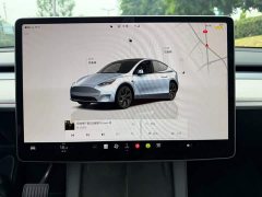 Tesla Model Y Rear-Wheel Drive - ფოტო 9