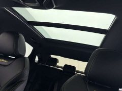 Geely Xingrui 1.5T Diesel Fuyao Edition - ფოტო 17