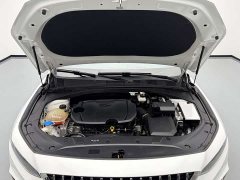 Geely Xingrui 1.5T Diesel Fuyao Edition - ფოტო 18