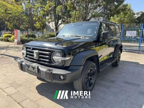 2023 Tank 300 Off-Road Edition 2.0T Challenger - ავტომობილი ჩინეთიდან