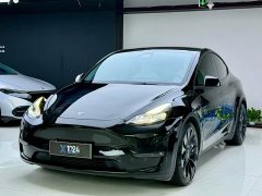 Tesla Model Y Performance All-Wheel Drive - ფოტო 1