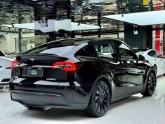 Tesla Model Y Performance All-Wheel Drive - ფოტო 13