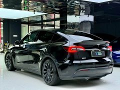 Tesla Model Y Performance All-Wheel Drive - ფოტო 15