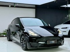 Tesla Model Y Performance All-Wheel Drive - ფოტო 3