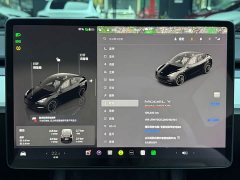 Tesla Model Y Performance All-Wheel Drive - ფოტო 9