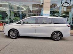 Buick GL8 New Energy 2025 Luushang Advance Edition - ფოტო 3