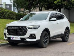 Haval H6 2023 National Trend Edition 1.5T Automatic Urban Version - ფოტო 1