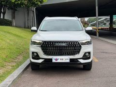 Haval H6 2023 National Trend Edition 1.5T Automatic Urban Version - ფოტო 2