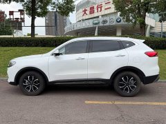 Haval H6 2023 National Trend Edition 1.5T Automatic Urban Version - ფოტო 3