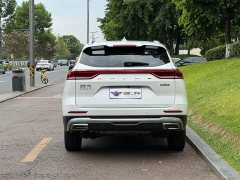 Haval H6 2023 National Trend Edition 1.5T Automatic Urban Version - ფოტო 5