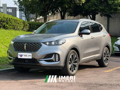 2021 Great Wall WEY VV6 2.0T Two-Wheel Drive Smart Plus - ავტომობილი ჩინეთიდან