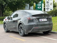 Tesla Model Y Long Range All-Wheel Drive - ფოტო 4