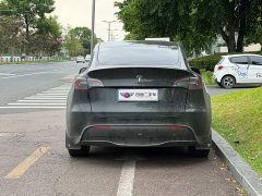 Tesla Model Y Long Range All-Wheel Drive - ფოტო 5