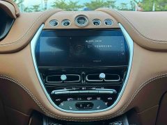 Aston Martin DBX 3.0T Straight-Six - ფოტო 11
