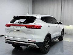 Haval H6 National Trend Edition 1.5T Automatic Urban Version - ფოტო 19
