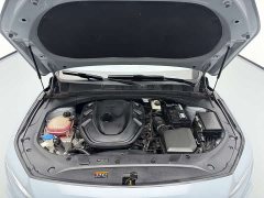 Geely Xingrui 2.0T Diesel Premium - ფოტო 17