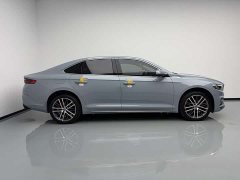 Geely Xingrui 2.0T Diesel Premium - ფოტო 6