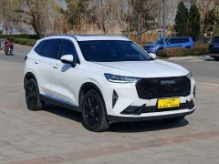 Haval H6 2021 Third Generation 2.0T Automatic AWD Max - ფოტო 3