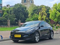 Tesla Model Y 2022 Facelift Rear-Wheel Drive - ფოტო 1