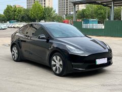 Tesla Model Y 2021 Long Range All-Wheel Drive - ფოტო 8