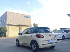 Wuling Binguo 333km Joy Edition - ფოტო 11