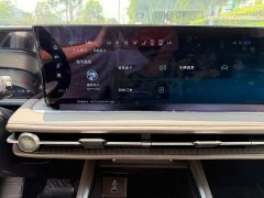 Ford Edge L 2.0T EcoBoost E Hybrid AWD Seven-Seat Premium - ფოტო 10