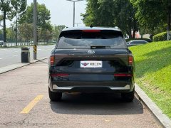 Ford Edge L 2.0T EcoBoost E Hybrid AWD Seven-Seat Premium - ფოტო 5
