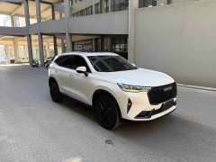 Haval H6 2021 Third Generation 2.0T Automatic Two-Wheel Drive Max - ფოტო 3