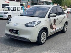 Wuling Binguo 333km Joy Edition - ფოტო 1