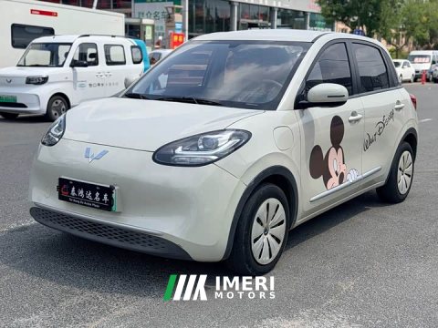 2023 Wuling Binguo 333km Joy Edition - ავტომობილი ჩინეთიდან