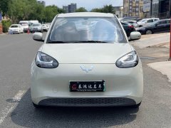Wuling Binguo 333km Joy Edition - ფოტო 2