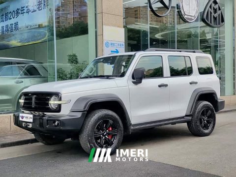 2021 Tank 300 Off-Road Edition 2.0T Conqueror - ავტომობილი ჩინეთიდან