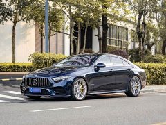 Mercedes-Benz CLS 300 Luxury - ფოტო 1