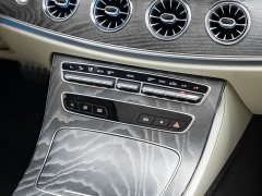 Mercedes-Benz CLS 300 Luxury - ფოტო 10