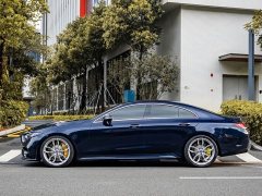 Mercedes-Benz CLS 300 Luxury - ფოტო 17