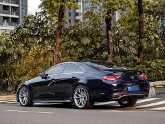 Mercedes-Benz CLS 300 Luxury - ფოტო 18