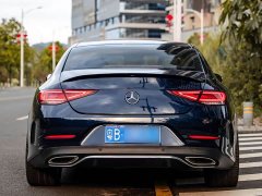 Mercedes-Benz CLS 300 Luxury - ფოტო 19
